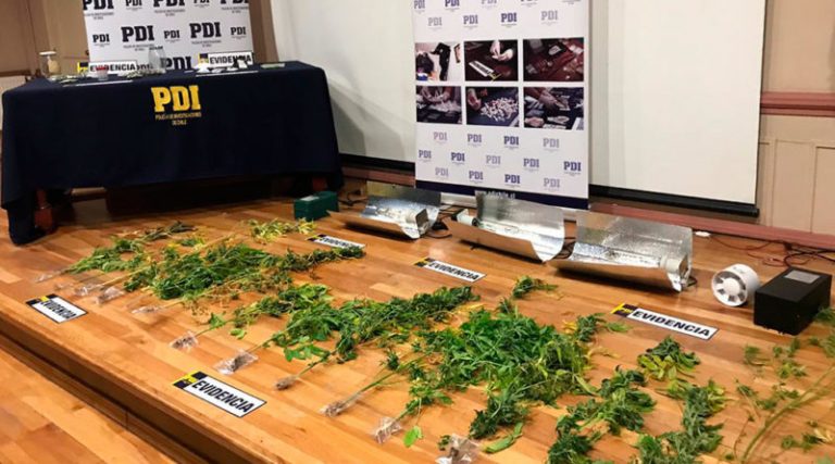 2019-01-13-droga-porvenir-0-800x445