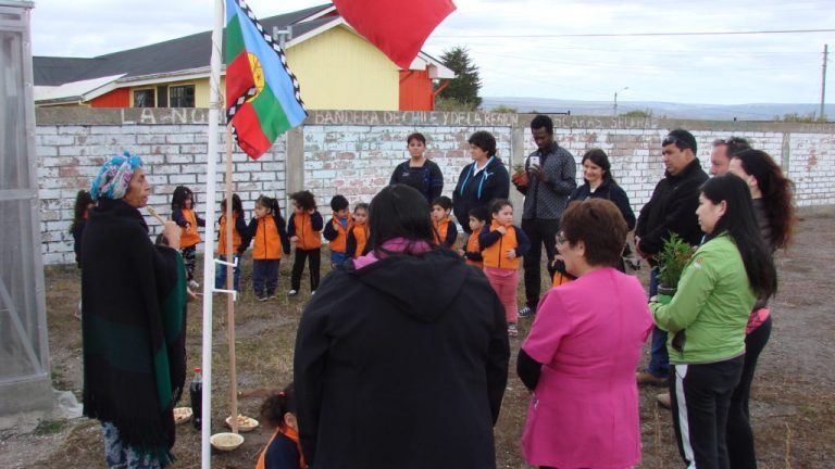 1-DSC04465-Invernadero-1024x576