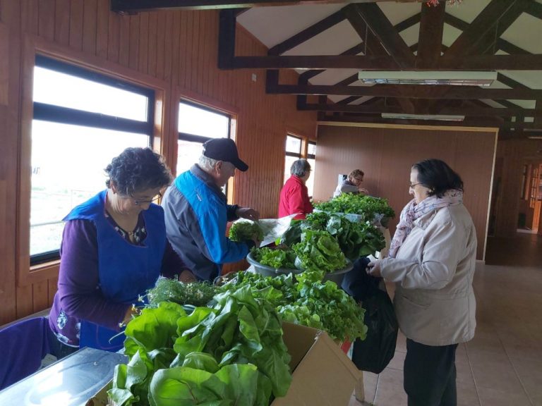 20191130_102425-1024x768