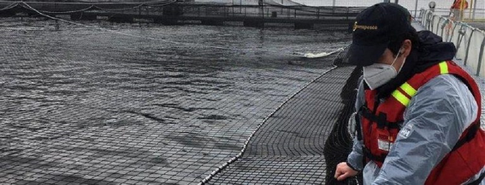 20200720_isa-768x294