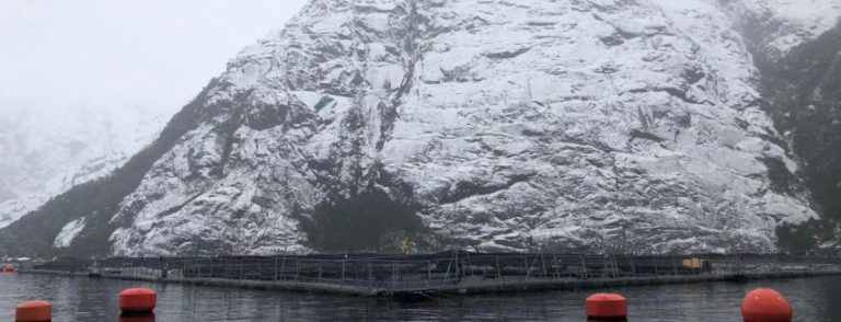 20201230_nova_austral