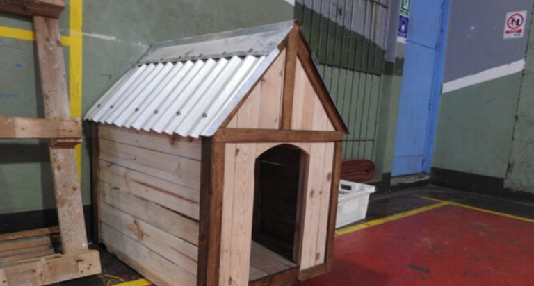 Captura de pantalla 2021-09-28 131411