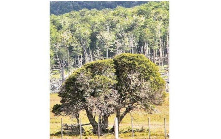 Captura de pantalla 2021-10-20 103328