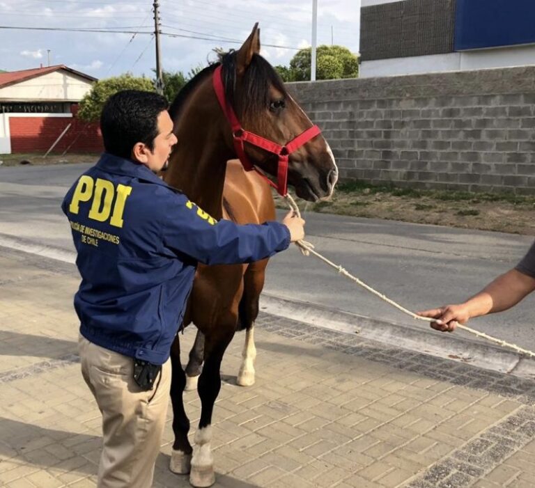 5D2017A6-4294-47F3-BB9B-78883214E0CF-800x730