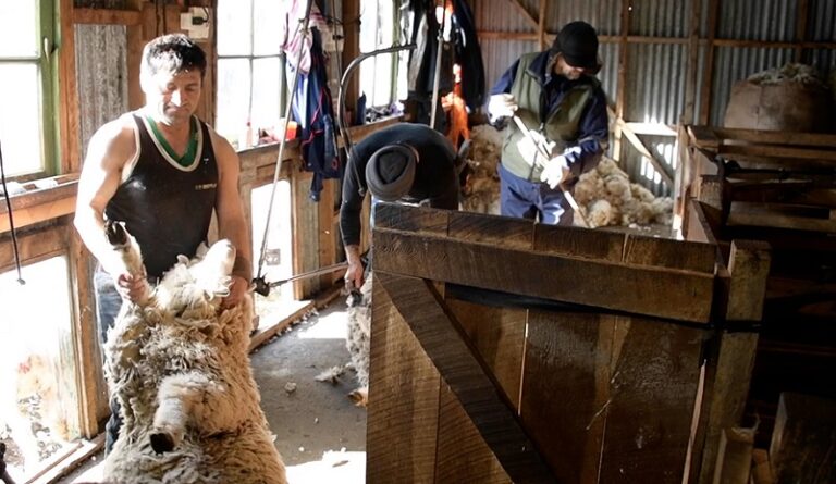 Pequeños ganaderos Tierra del Fuego 1