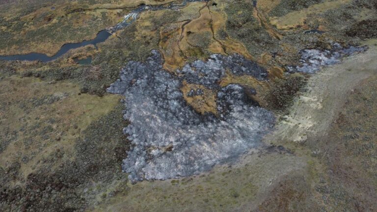 Incendio en Tierra del Fuego 2 5-10-2023