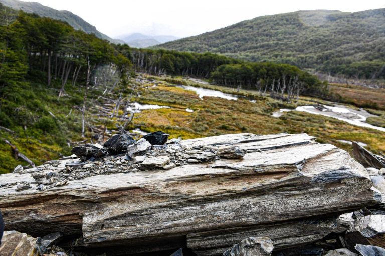 WhatsApp Image 2025-02-28 at 20.48.28